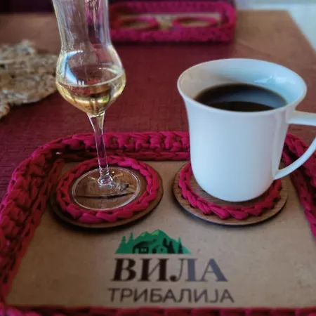 Oda ve Kahvaltı Tribalija *