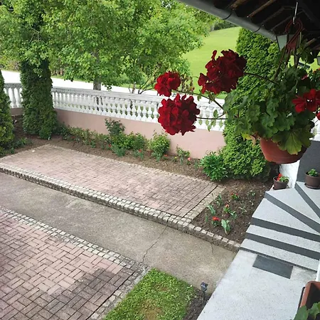 Tribalija Oda ve Kahvaltı *